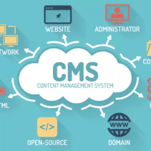 Website Content Management