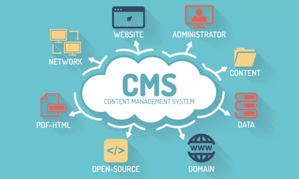 Website Content Management